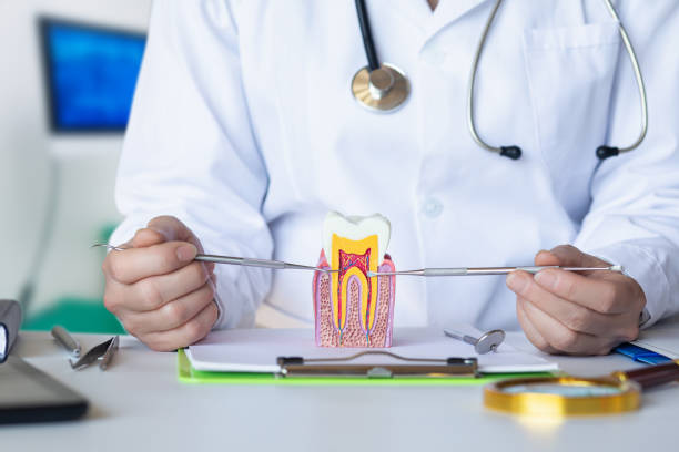 Best Broken or Cracked Tooth Emergency Dentist in Blue Hills, CT
